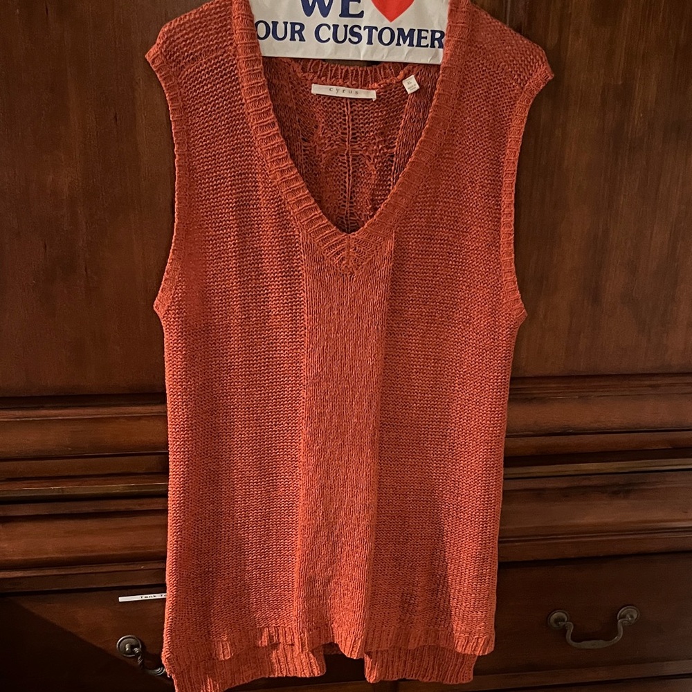Cyrus Rust Knit V-Neck Top
